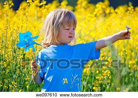 boy with long blond hair holding pinwheel in canola field View Large Photo Image Stock Image - boy with long blond hair holding pinwheel in canola field. Fotosearch