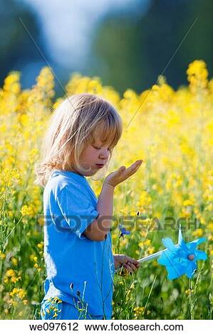 boy with long blond hair holding pinwheel in canola field View Large Photo Image Stock Image - boy with long blond hair holding pinwheel in canola field. Fotosearch