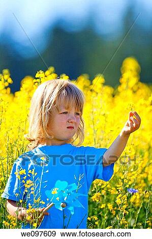 boy with long blond hair holding pinwheel in canola field View Large Photo Image Stock Photo - boy with long blond hair holding pinwheel in canola field. Fotosearch