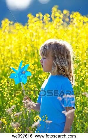 boy with long blond hair holding pinwheel in canola field View Large Photo Image Stock Photograph - boy with long blond hair holding pinwheel in canola field. Fotosearch