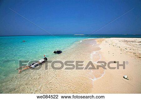 Stock Image - Boys snorkeling, Bolanos Caye, Cayos Cochinos, Bay Islands, Honduras. Fotosearch