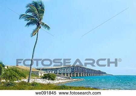 Bridge connecting florida keys over beautiful caribbean blue water View Large Photo Image Stock Photography - Bridge connecting florida keys over beautiful caribbean blue water. Fotosearch