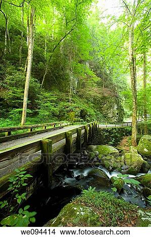 Picture - Bridge, Motor Nature Trail, Great Smoky Mtns NP, TN. Fotosearch