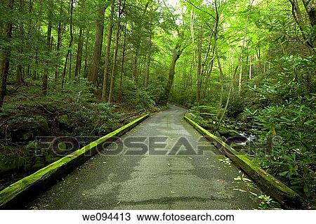 Bridge, Motor Nature Trail, Great Smoky Mtns NP, TN View Large Photo Image Stock Image - Bridge, Motor Nature Trail, Great Smoky Mtns NP, TN. Fotosearch