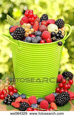 Bucket of berries View Large Photo Image Stock Photo - Bucket of berries. Fotosearch