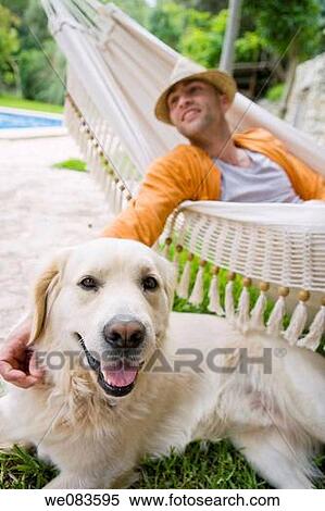 Stock Photography - calm, caressing, caress, animal. Fotosearch