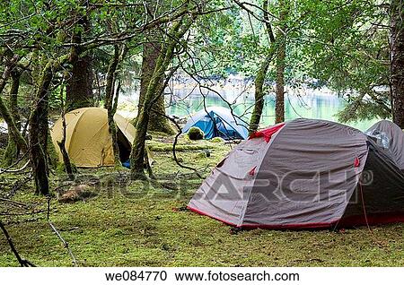 Stock Image - Canada, BC, Queen Charlotte Islands, Gwaii Haanas National Park. Campsite in the rainforest.. Fotosearch