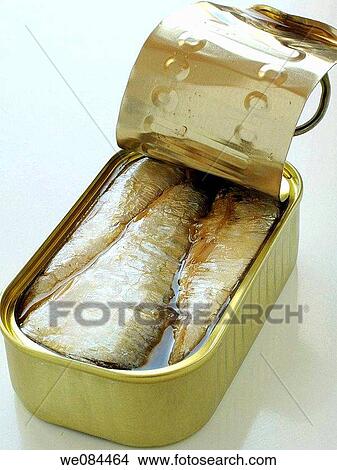 Canned sardines View Large Photo Image Picture - Canned sardines. Fotosearch