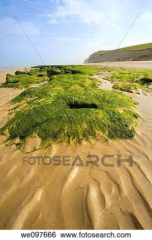 cap blanc nez beach wide angle View Large Photo Image Stock Photograph - cap blanc nez beach wide angle. Fotosearch