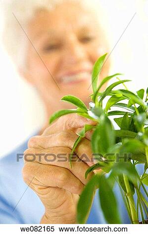 Care take, Caretake, caretaking, caring View Large Photo Image Stock Photography - Care take, Caretake, caretaking, caring. Fotosearch