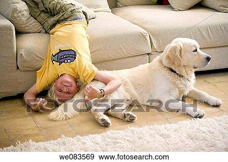 carpet, animal, boy, blond, at-home, amusement View Large Photo Image Stock Photo - carpet, animal, boy, blond, at-home, amusement. Fotosearch