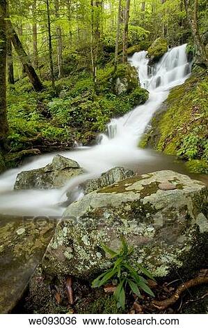 Stock Photograph - Cascade, Tremont, Great Smoky Mtns Nat Park, TN. Fotosearch