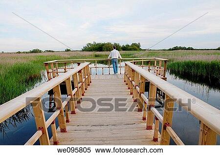 Stock Photography - Catwalk and viewpoint. Tablas de Daimiel National Park, Ciudad Real province, Castilla La Mancha, Spain.. Fotosearch