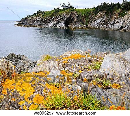 Cave and orange lichen on sea cliffs at Smugglers Cove Provincial Park Nova Scotia View Large Photo Image Stock Photo - Cave and orange lichen on sea cliffs at Smugglers Cove Provincial Park Nova Scotia. Fotosearch