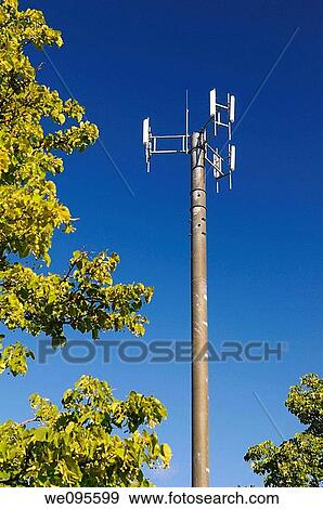 Cell phone communications tower among trees against a blue sky View Large Photo Image Stock Photo - Cell phone communications tower among trees against a blue sky. Fotosearch