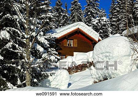 Chalet covered with a thick layer of snow in a wintery forest, Givrine, St Cergue, Jura, Switzerland View Large Photo Image Stock Image - Chalet covered with a thick layer of snow in a wintery forest, Givrine, St Cergue, Jura, Switzerland. Fotosearch
