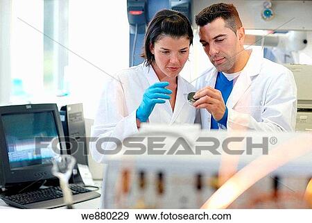 Stock Photo - Chromatograph, Physical Chemical Laboratory, Azti-Tecnalia, Marine and Food Research Technological Centre, Derio, Biscay, Basque Country, Spain. Fotosearch