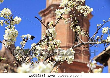Church in Villel Teruel province Aragon Spain View Large Photo Image Stock Image - Church in Villel Teruel province Aragon Spain. Fotosearch