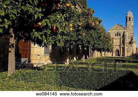 Church of the Salvador (16th century) and Parador Nacional del Condestable Davalos in Plaza de Vazquez Molina, Ubeda. Jaen province, Andalucia, Spain View Large Photo Image Stock Photography - Church of the Salvador (16th century) and Parador Nacional del Condestable Davalos in Plaza de Vazquez Molina, Ubeda. Jaen province, Andalucia, Spain. Fotosearch