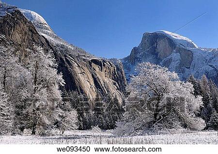 Clear winter day after a snowfall in Cooks Meadow with North and Half dome peaks Yosemite View Large Photo Image Stock Image - Clear winter day after a snowfall in Cooks Meadow with North and Half dome peaks Yosemite. Fotosearch