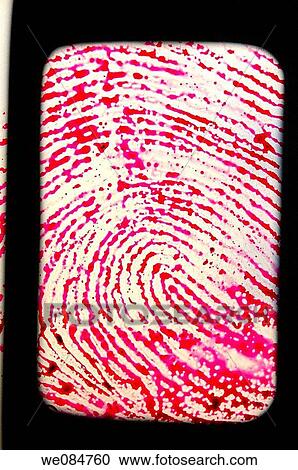 Close-up, clue, concept, fingerprint, frame View Large Photo Image Stock Image - Close-up, clue, concept, fingerprint, frame. Fotosearch