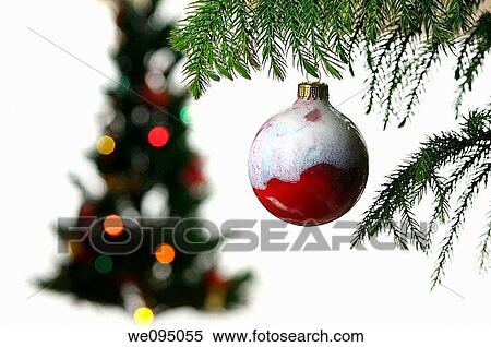 Stock Photography - Close up of a hanging red glass ball ornament with blurred Christmas tree on white. Fotosearch