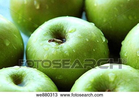 Stock Image - Close-up of fresh Granny Smith apple fruit. Fotosearch