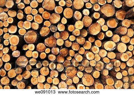 Close-up view of wooden poles View Large Photo Image Stock Image - Close-up view of wooden poles. Fotosearch