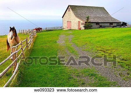 Clydesdale horse and Barn over Bras dOr Lake at Highland Village Museum Iona Cape Breton View Large Photo Image Stock Image - Clydesdale horse and Barn over Bras dOr Lake at Highland Village Museum Iona Cape Breton. Fotosearch