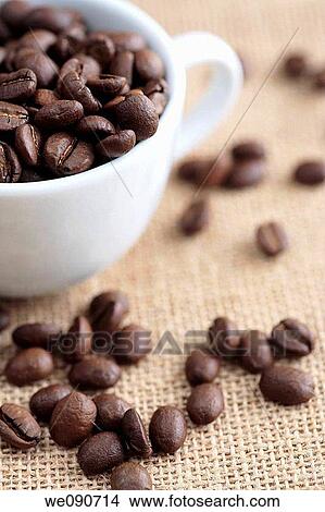 Coffee beans and cup View Large Photo Image Picture - Coffee beans and cup. Fotosearch