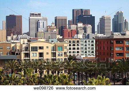 Commercial and residential buildings with palm trees in downtown San Diego, California, USA View Large Photo Image Stock Photograph - Commercial and residential buildings with palm trees in downtown San Diego, California, USA. Fotosearch