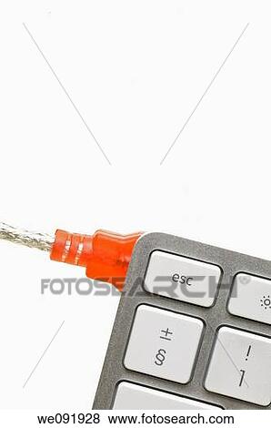 Computer keyboard and red USB connection on white background View Large Photo Image Stock Photo - Computer keyboard and red USB connection on white background. Fotosearch