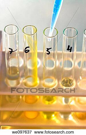 Stock Photo - Conceptual image of a science experiment Test tubes in a rack. Fotosearch