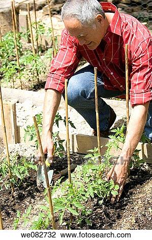 contemporary, crouch, cultivation View Large Photo Image Stock Image - contemporary, crouch, cultivation. Fotosearch