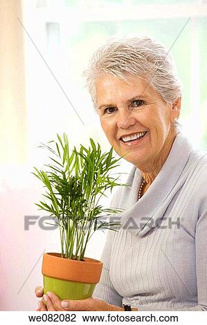 contemporary, day, at-home View Large Photo Image Stock Image - contemporary, day, at-home. Fotosearch