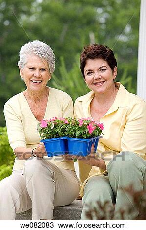 contemporary, day, Female, flower pot View Large Photo Image Stock Image - contemporary, day, Female, flower pot. Fotosearch