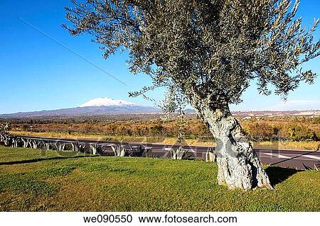 country, Country road, day, horizon, Landscape View Large Photo Image Stock Image - country, Country road, day, horizon, Landscape. Fotosearch