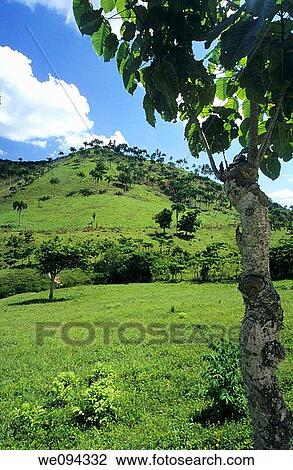 Stock Image - Countryside landscape La Altagracia province, Dominican republic, Caribbean. Fotosearch