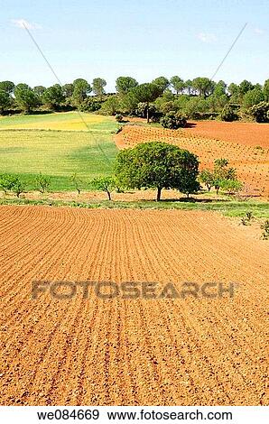 Cultivation field. Cuenca province, Castilla La Mancha, Spain. View Large Photo Image Stock Photo - Cultivation field. Cuenca province, Castilla La Mancha, Spain.. Fotosearch
