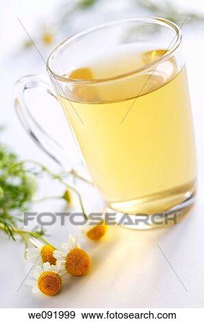 Cup of chamomile tea with sprigs of chamomile View Large Photo Image Stock Photo - Cup of chamomile tea with sprigs of chamomile. Fotosearch