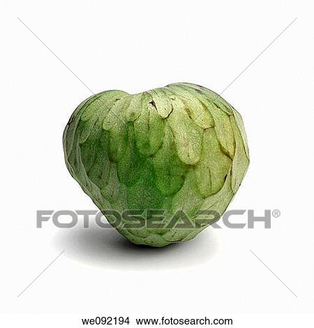 Picture - Custard Apple or Cherimoya. Fotosearch