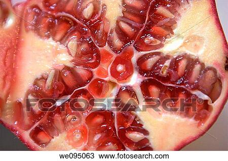 Cut Pomegranate fruit View Large Photo Image Stock Image - Cut Pomegranate fruit. Fotosearch