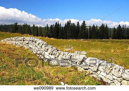 Stock Photo - Dry stone wall, traditional pasture fencing in the Jura region, Col du Marchairuz, canton of Vaud, Switzerland. Fotosearch