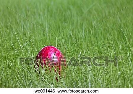 Easter egg / Osterei View Large Photo Image Stock Photograph - Easter egg / Osterei. Fotosearch
