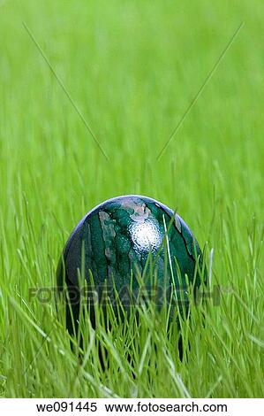 Stock Photography - Easter egg / Osterei. Fotosearch