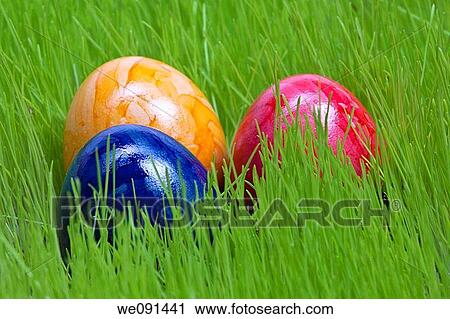 Easter eggs on the grassland / Ostereier auf der Wiese View Large Photo Image Stock Image - Easter eggs on the grassland / Ostereier auf der Wiese. Fotosearch