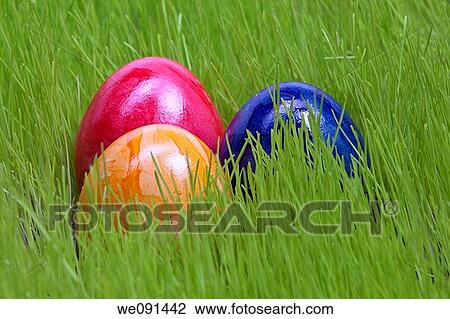 Easter eggs on the grassland / Ostereier auf der Wiese View Large Photo Image Stock Image - Easter eggs on the grassland / Ostereier auf der Wiese. Fotosearch