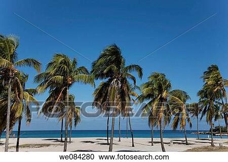 Eastern beach, Havana, Cuba View Large Photo Image Stock Image - Eastern beach, Havana, Cuba. Fotosearch