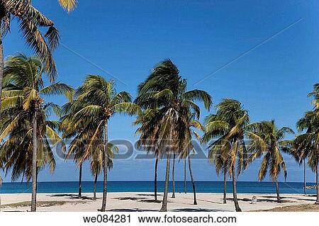 Eastern beach, Havana, Cuba View Large Photo Image Stock Image - Eastern beach, Havana, Cuba. Fotosearch