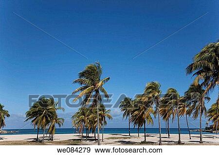 Stock Photo - Eastern beach, Havana, Cuba. Fotosearch